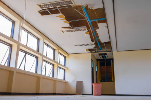 Best Water damage contractors near me  in Twin Lakes, CO