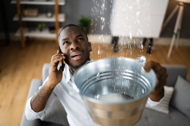 Best Flooded house restoration  in Twin Lakes, CO
