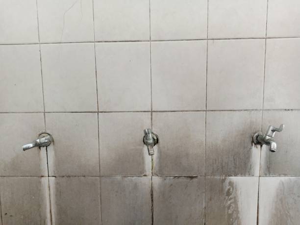Best 24-hour water damage restoration  in Twin Lakes, CO