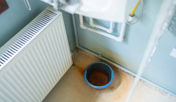 Best Ceiling water damage repair  in Twin Lakes, CO