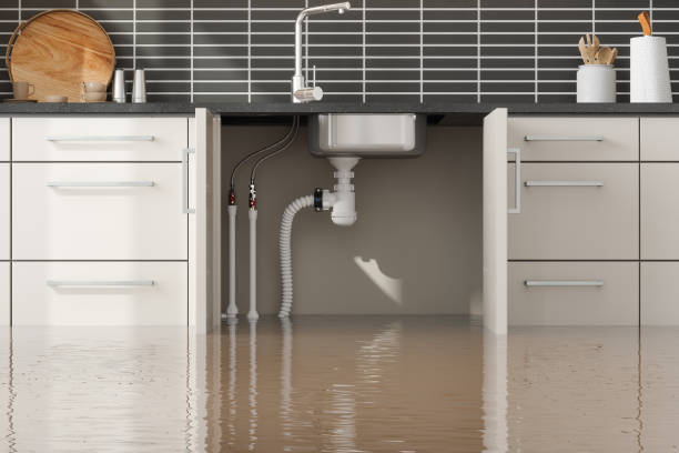 Twin Lakes, CO Water damage restoration Company
