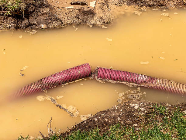 Best Flood restoration services  in Twin Lakes, CO