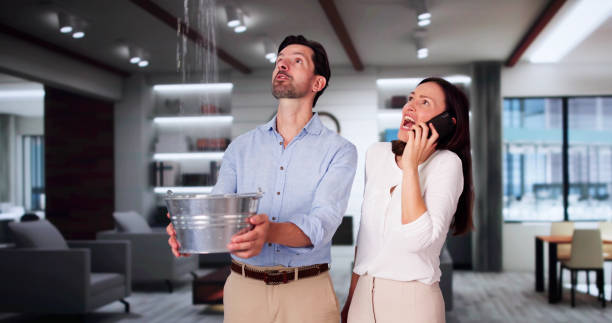 Best Basement water damage restoration  in Twin Lakes, CO