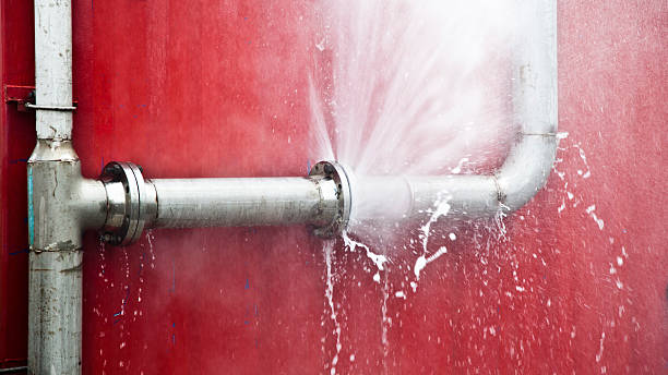 Best Professional water damage repair  in Twin Lakes, CO